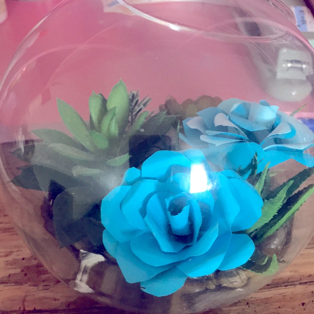 A round glass phase with artificial plants